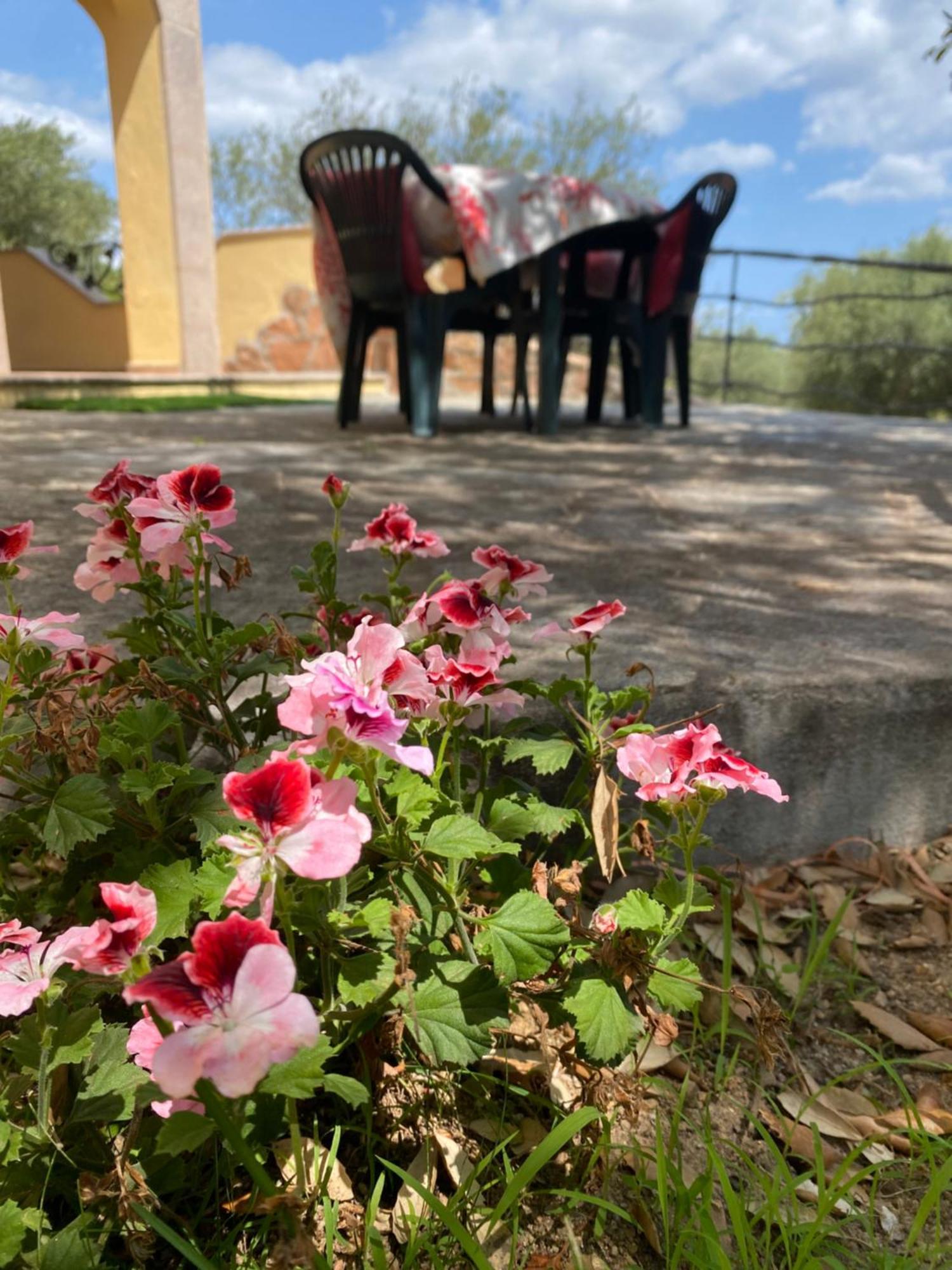 Case Vacanze Villa Rosita San Teodoro  Eksteriør billede